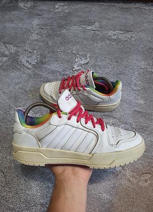 Жіночі шкіряні кросівки adidas entrap (pride pack / rainbow)