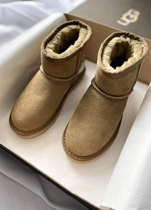 Жіночі  уггі ugg classic mini mokko suede