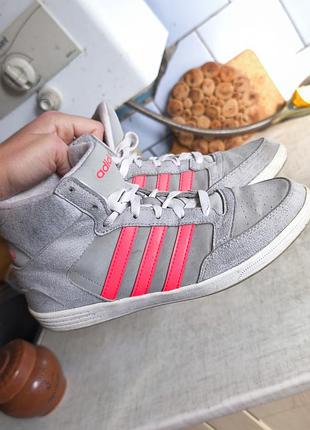 Кроссовки adidas 38 (24 см)