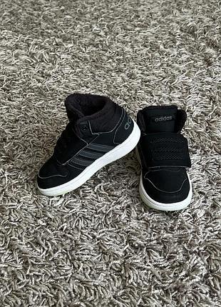 Стильні утеплені хайтопи adidas 25 розміру