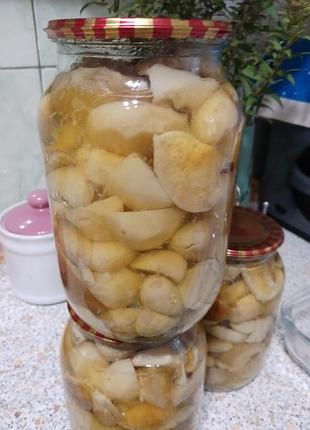 Белые маринованные грибы 🍄‍🟫