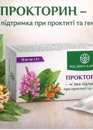 Фитосвечи прокторин – стоп геморрой