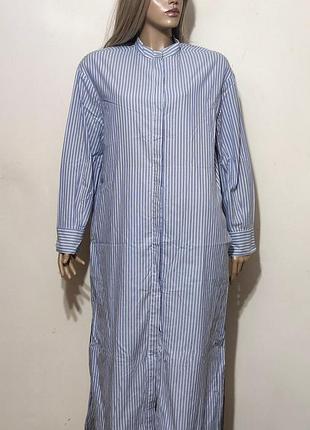 's max mara хлопковое платье рубашка в  полоску   /0000h/