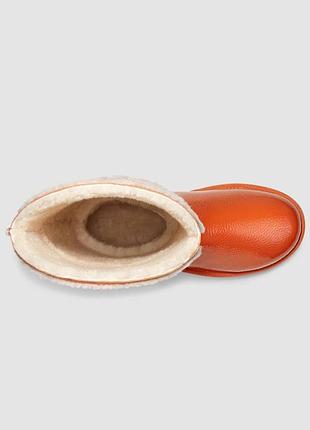 Ugg оригінал 2