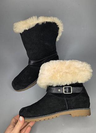 Сапоги ugg модели nessa