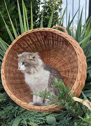 Подвесная плетеная хижинка для котов