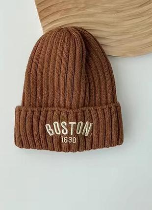 Дитяча тепла шапка бостон boston 47-52р 3-5років коричневий (2216)
