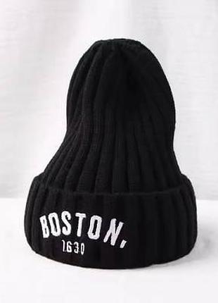 Дитяча тепла шапка бостон boston 47-52р 3-5років чорний (2216)
