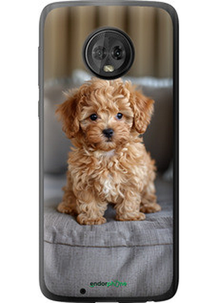 Чехол на motorola moto g6 mini-maltipoo "6158u-982-72104"