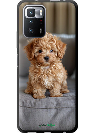 Чехол на xiaomi redmi note 10 pro 5g mini-maltipoo "6158b-3333-72104"