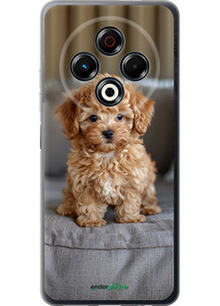 Чехол на tecno spark 30 4g mini-maltipoo "6158u-3894-72104"