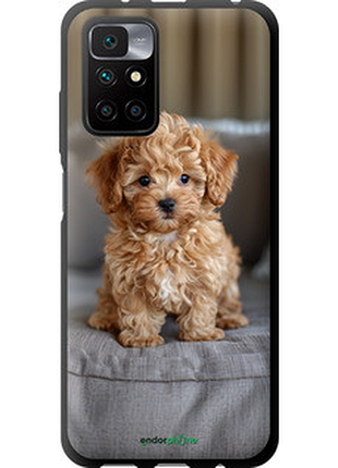 Чехол на xiaomi redmi 10 mini-maltipoo "6158b-2488-72104"