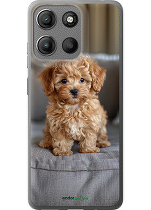 Чехол на motorola moto g15 mini-maltipoo "6158u-3948-72104"