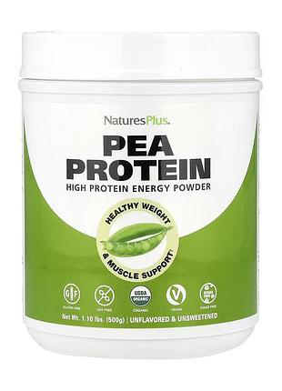 Pea protein - 500g