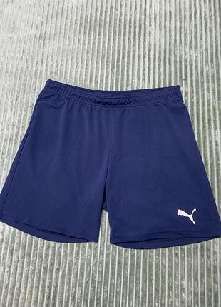 Puma чоловічі шорти
