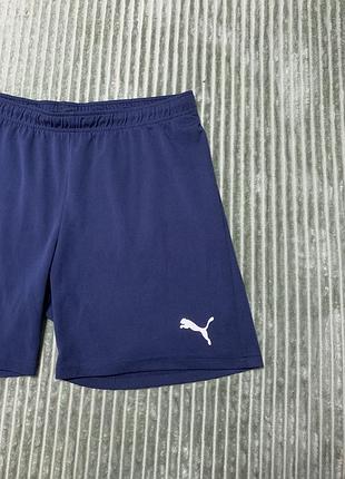 Puma чоловічі шорти 2