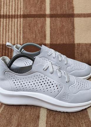 Жіночі кросівки clarks