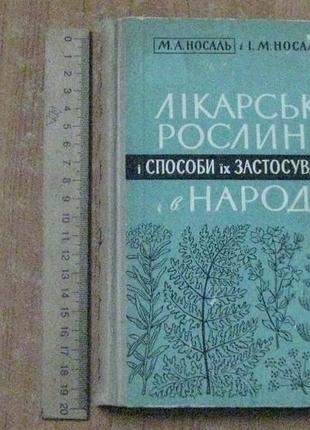 Носаль м. а. носаль. и. м. лекарственные растения и способы их применения в народе.