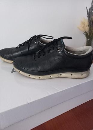 Кросівки ecco  36р.в  ідеальному стані без дефектів з технологією gore tex