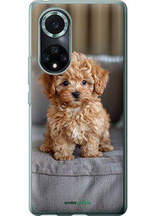Чехол на huawei nova 9 pro mini-maltipoo "6158u-2503-72104"