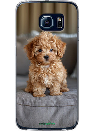 Чехол на samsung galaxy s6 edge g925f mini-maltipoo "6158u-83-72104"