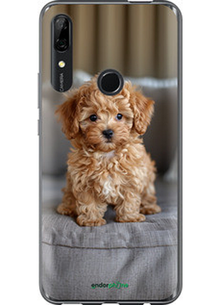 Чехол на huawei p smart z mini-maltipoo "6158u-1704-72104"