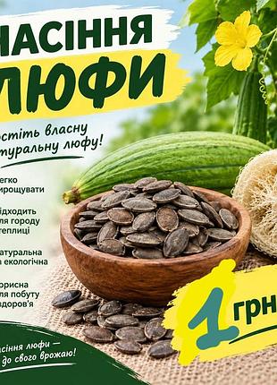 Семена люфы 2026 года.