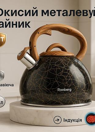 Чайник з свистком з тяжким дном, гарний чайник для газової конфорки практичний зі свистком pd-56