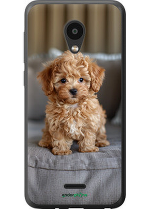 Чехол на meizu c9 mini-maltipoo "6158u-1627-72104"