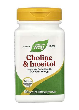 Choline & inositol - 100 caps