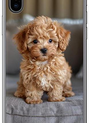 Чехол на iphone x mini-maltipoo "6158sp-1050-72104"