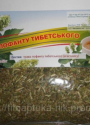 Лофант тибетский трава 50 гр