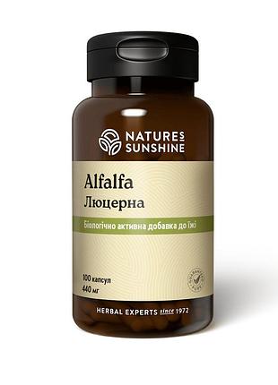 Alfalfa альфальфа - люцерна 100 капсул