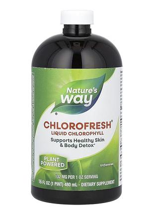 Chlorofresh® liquid - 16 oz unflavored