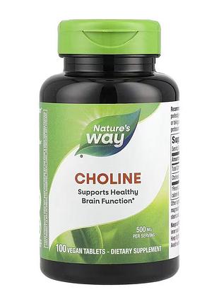 Choline 500 mg - 100 tabs