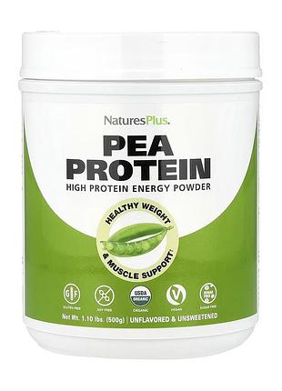 Pea protein - 500g