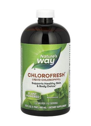 Nature's way chlorofresh liquid chlorophyll (480 ml, mint)