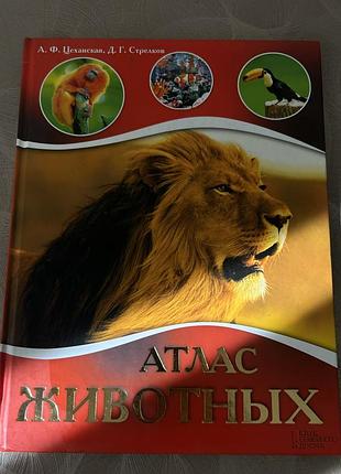 Велика барвиста книга «атлас тварин» (автори а. ф. цеханська, д. г. стрелков) від видавництва «клуб сімейного дозвілля» (ксд).