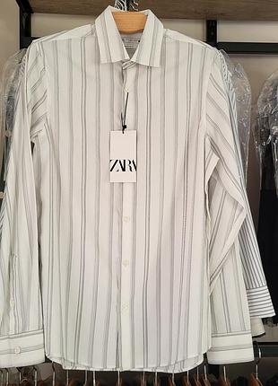 Чоловіча сорочка zara в смужку, біла