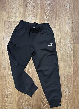 Джогеры утепленные puma