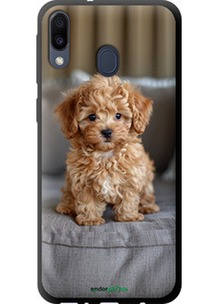 Чехол на samsung galaxy m20 mini-maltipoo "6158b-1660-72104"