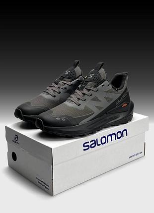 Термо кросівки salomon elixir activ gtx black taupwood