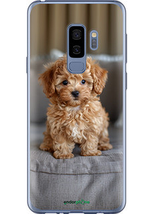 Чехол на samsung galaxy s9 plus mini-maltipoo "6158u-1365-72104"
