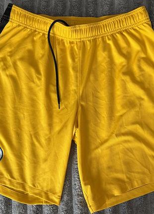 Офіційні футбольні шорти nike brighton & hove albion