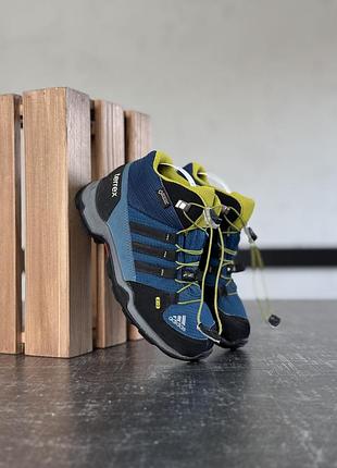 Черевики adidas terrex