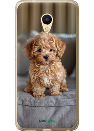 Чехол на meizu m5s mini-maltipoo "6158u-776-72104"