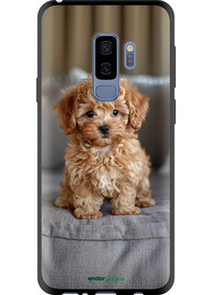 Чехол на samsung galaxy s9 plus mini-maltipoo "6158b-1365-72104"