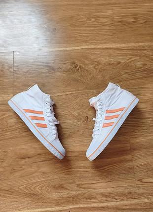 Высокие кеды от adidas
