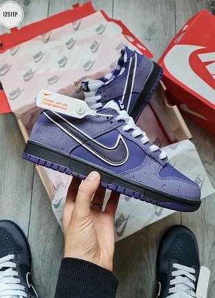 Nike sb dunk low concepts purple lobster