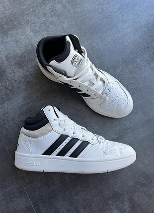 Кросівки adidas hoops mid classic 2